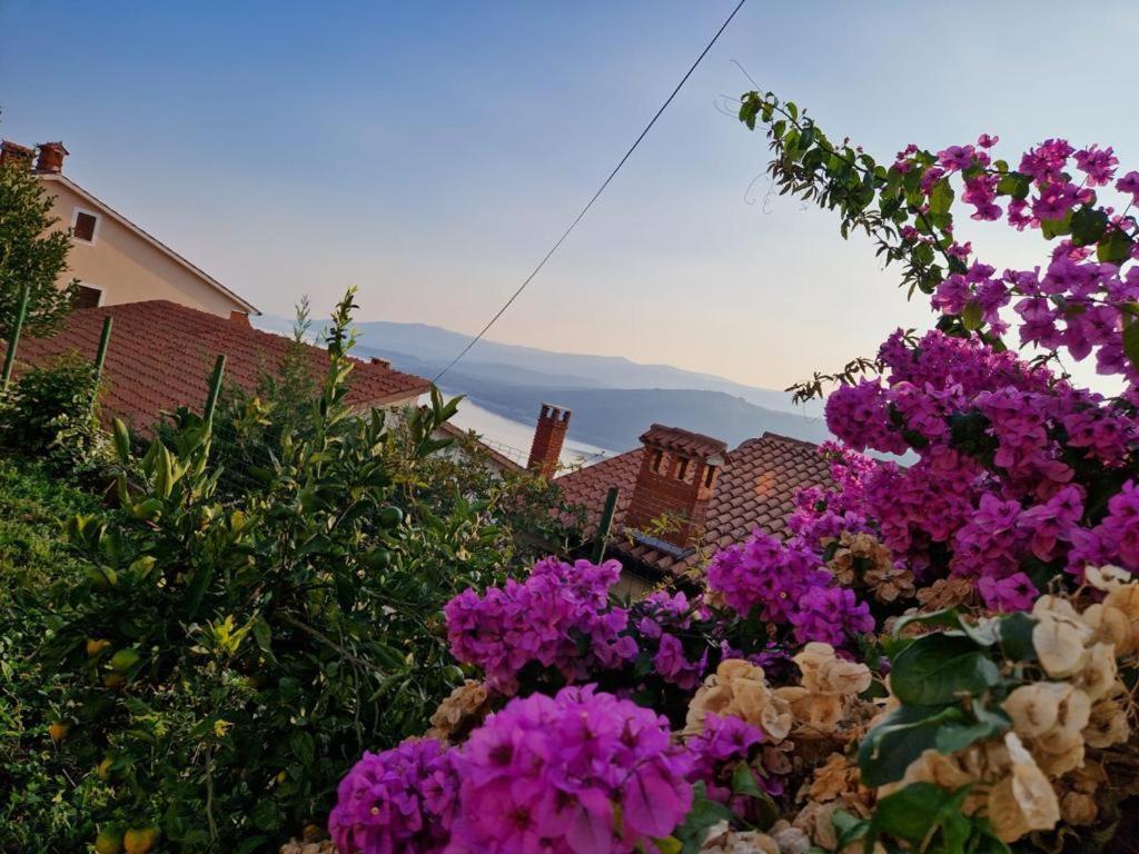 Aloe Appartement Rabac Buitenkant foto